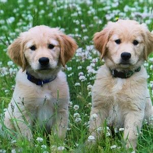 Meet your Posher, Jonathon